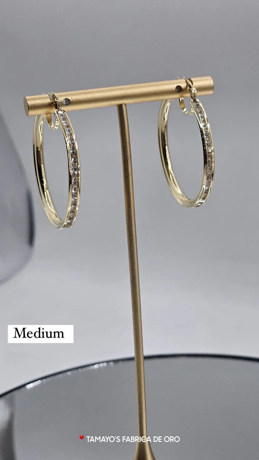 10K Gold Earrings with czz