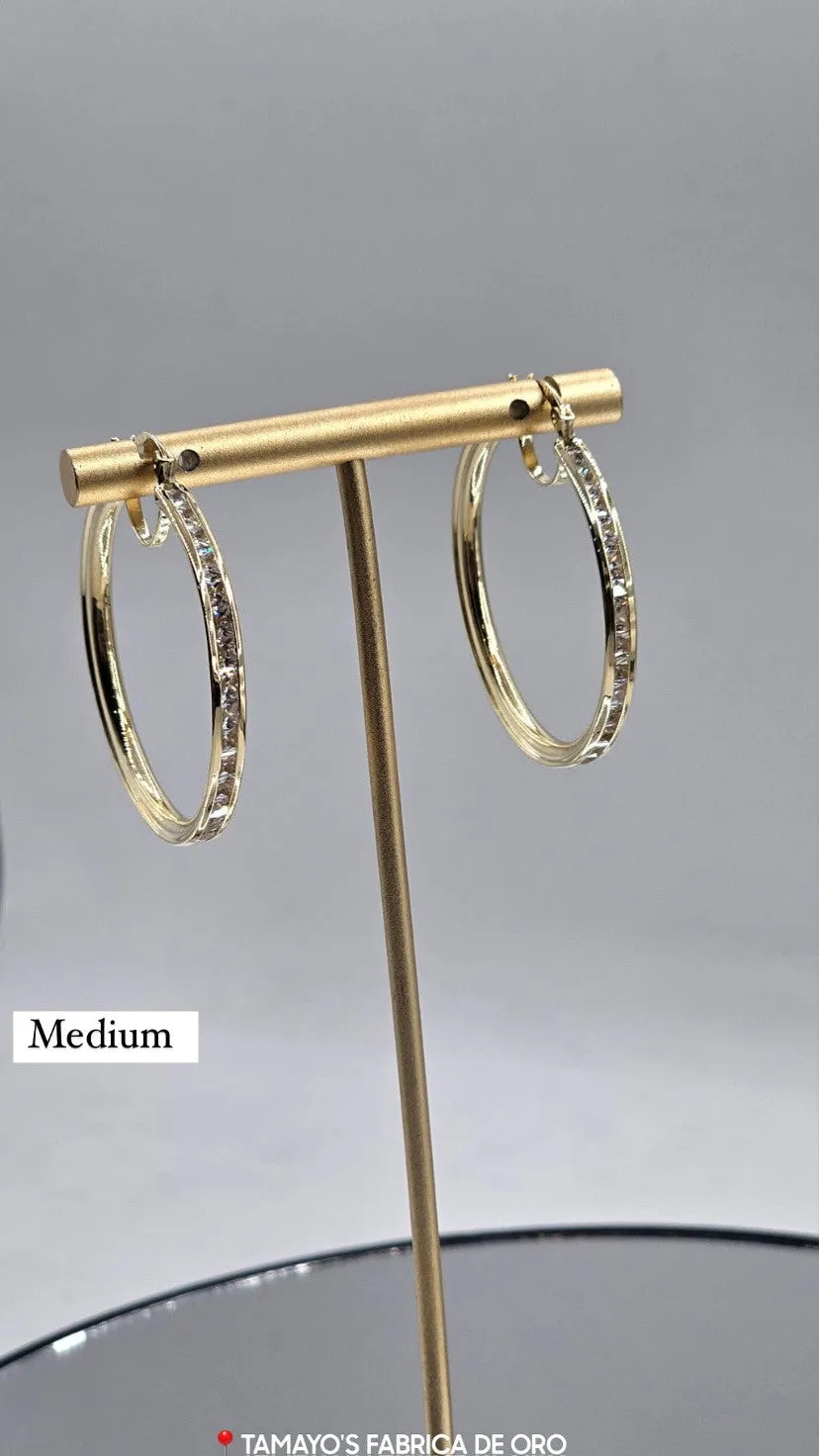 10K Gold Earrings with czz