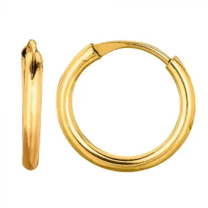 14 Karat Yellow Gold Small Hoop Earrings