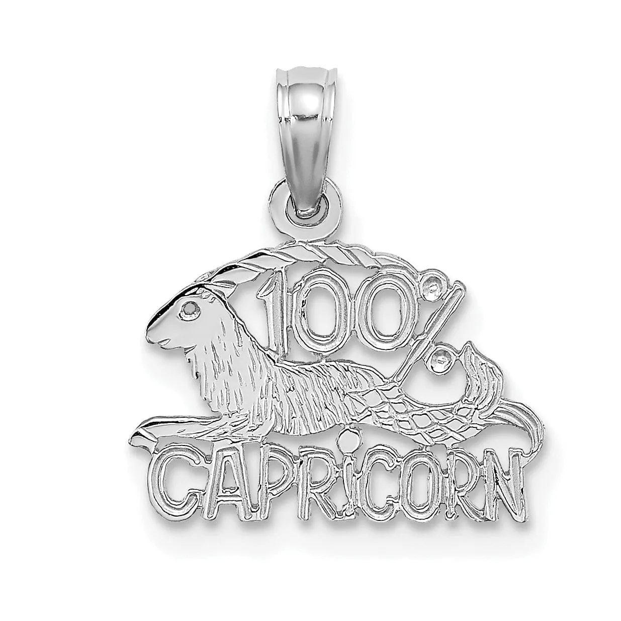 14K White Gold Polished Textured Finish 100% Zodiac CAPRICORN Charm Pendant