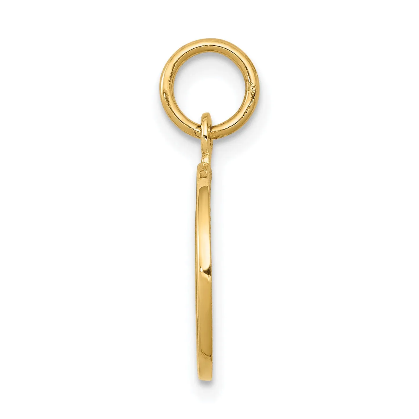 14k Yellow Gold Polished Texture Finish Round Shape Angel Pendant