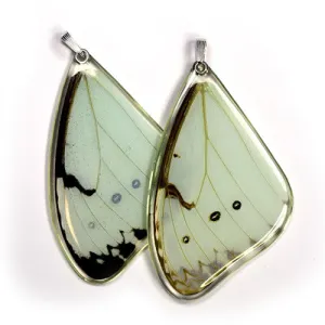 Butterfly wing pendant ONLY, Mint Morpho Butterfly, top wing