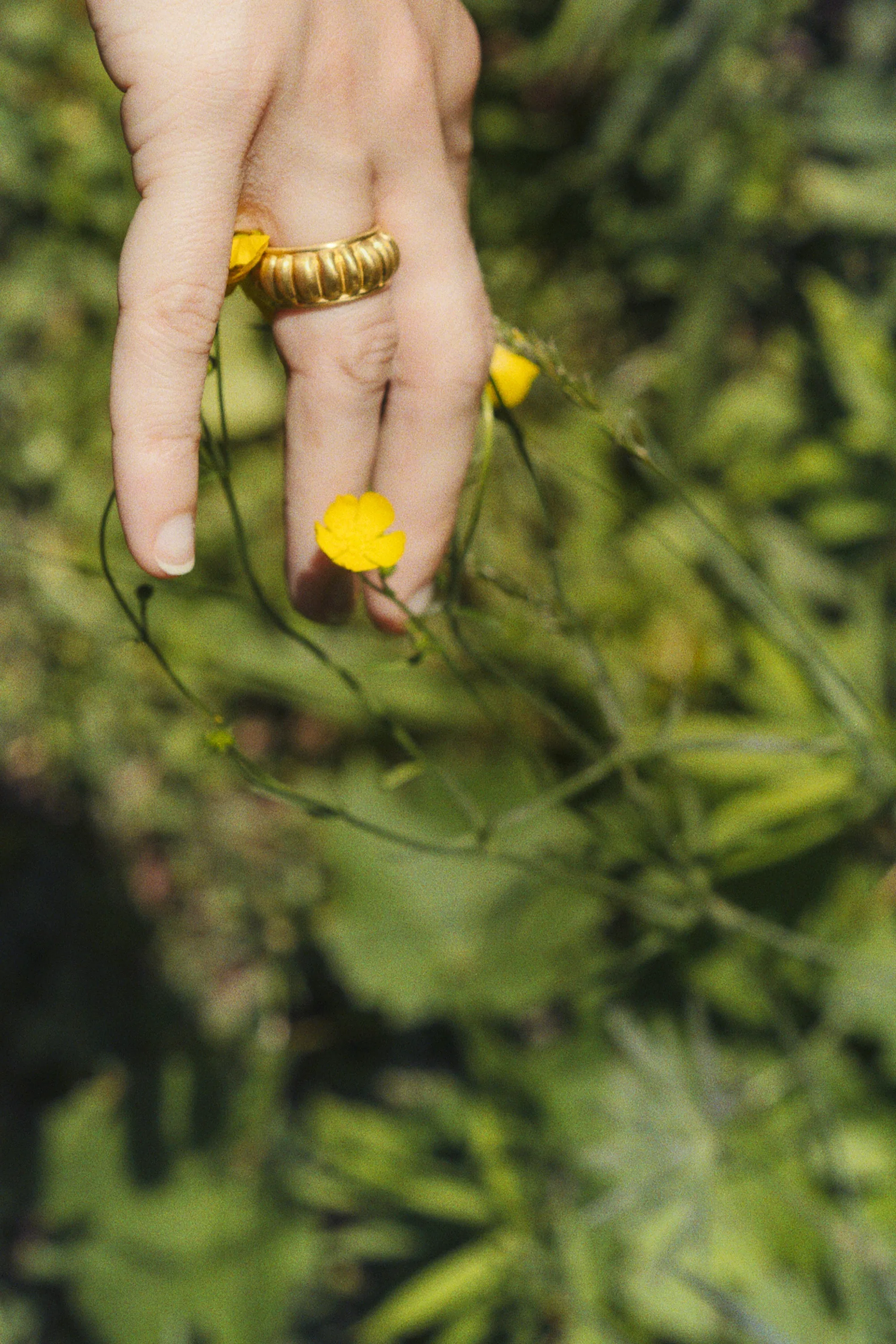 Melon Ring