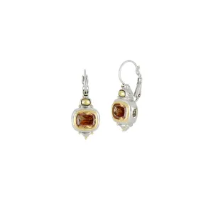 Nouveau Collection - French Wire Earrings