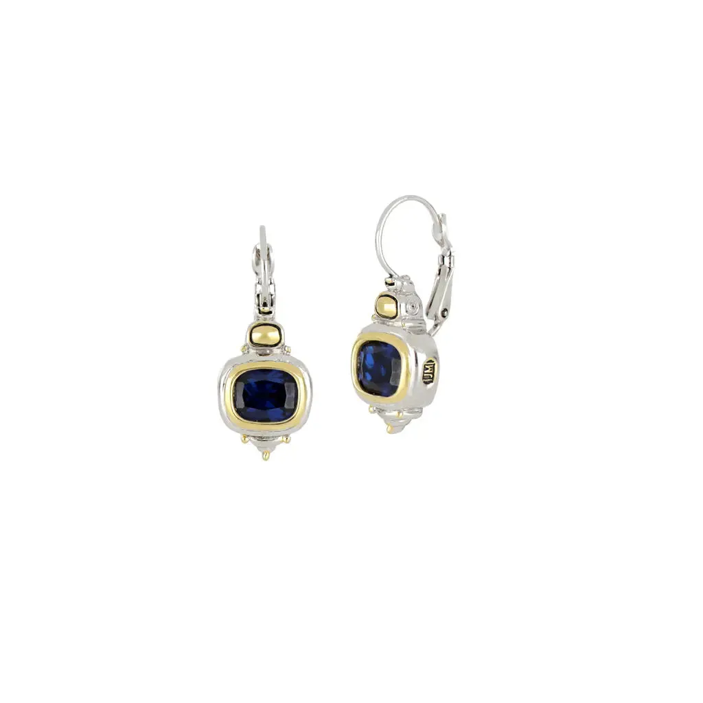 Nouveau Collection - French Wire Earrings