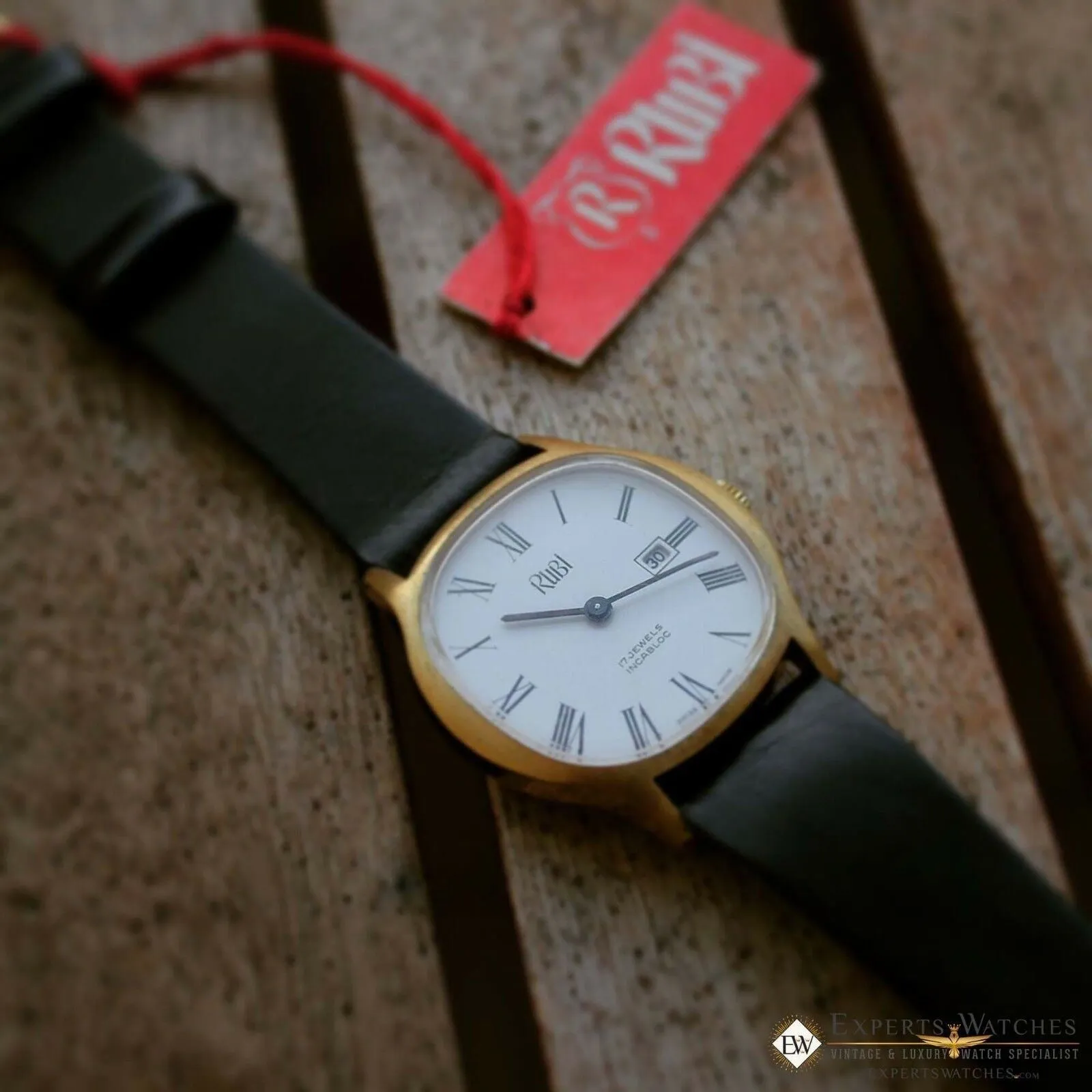 Rare Vintage NOS RUBI Dress Manual Watch 17 Jewel Date