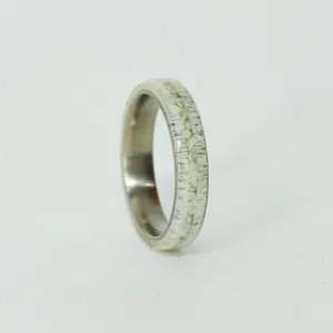 SALE RING - Titanium, Antler, Larimar - Size 5.75