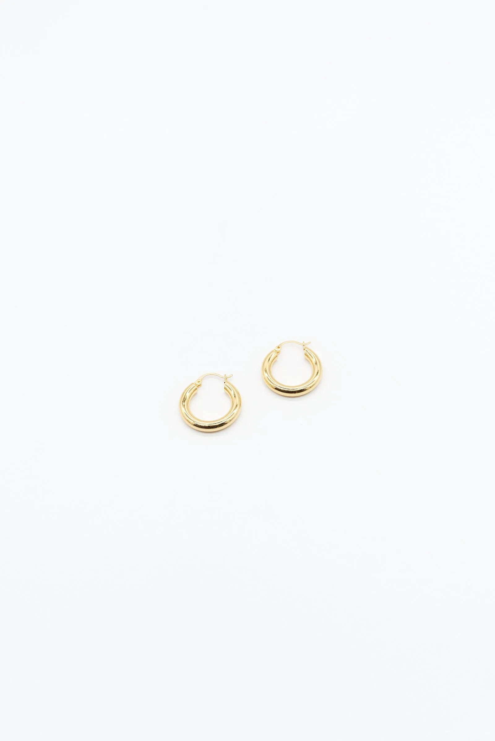 Small Hoop Earrings - 14K Gold Plated