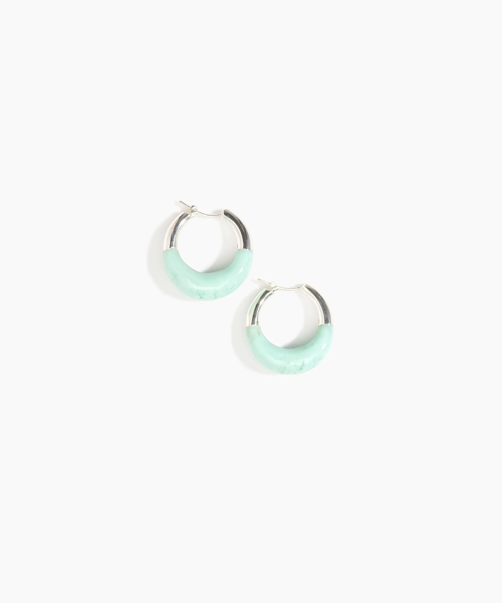 Small Horn Hoop Earrings