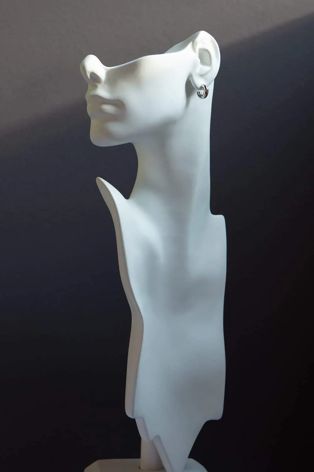 Small Silver Chubby Hoops